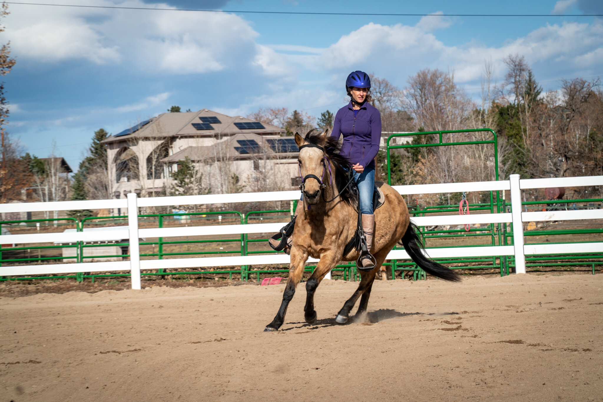 LADYBUG_UnderSaddle-25.jpg