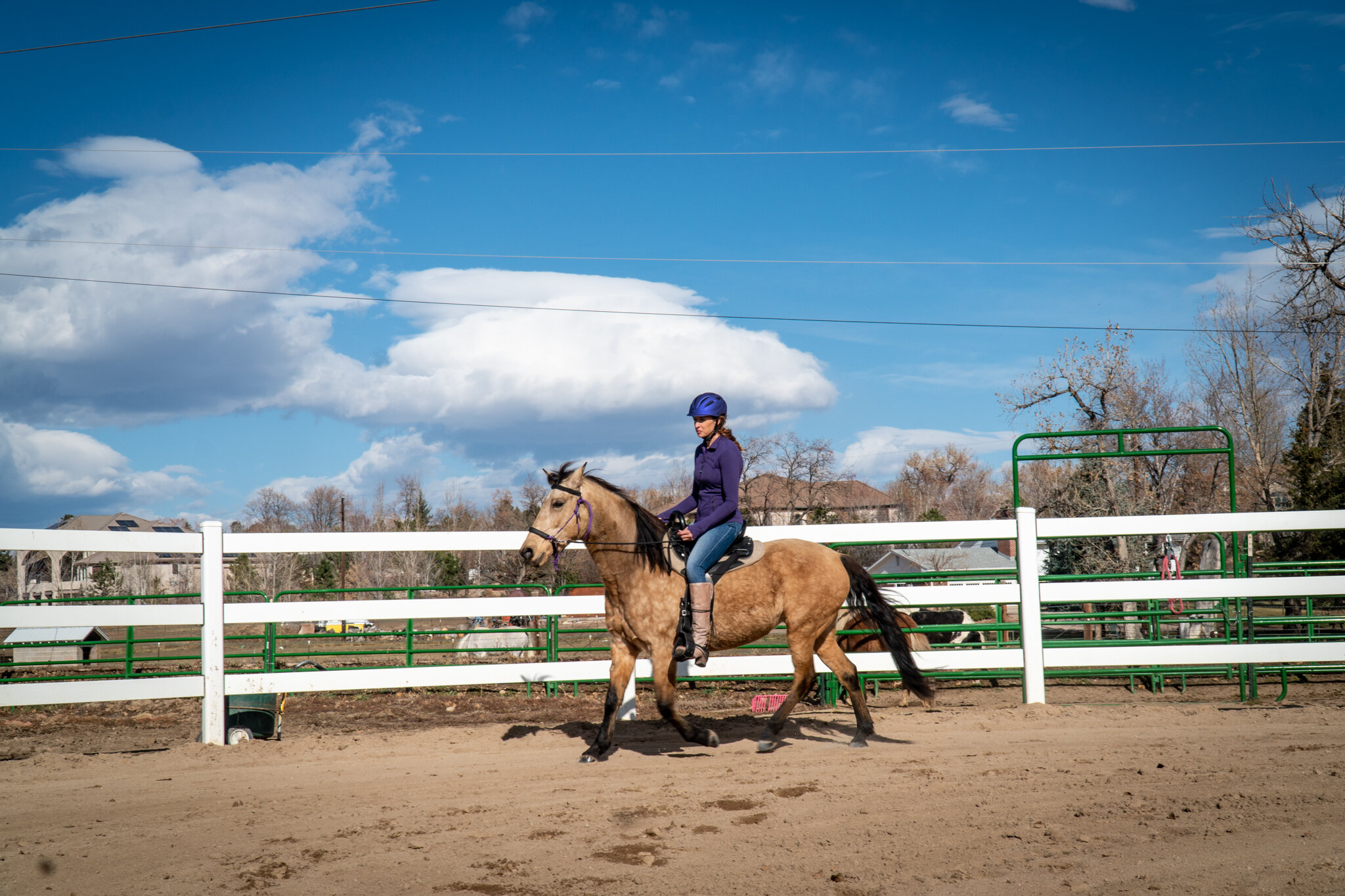 LADYBUG_UnderSaddle-26.jpg