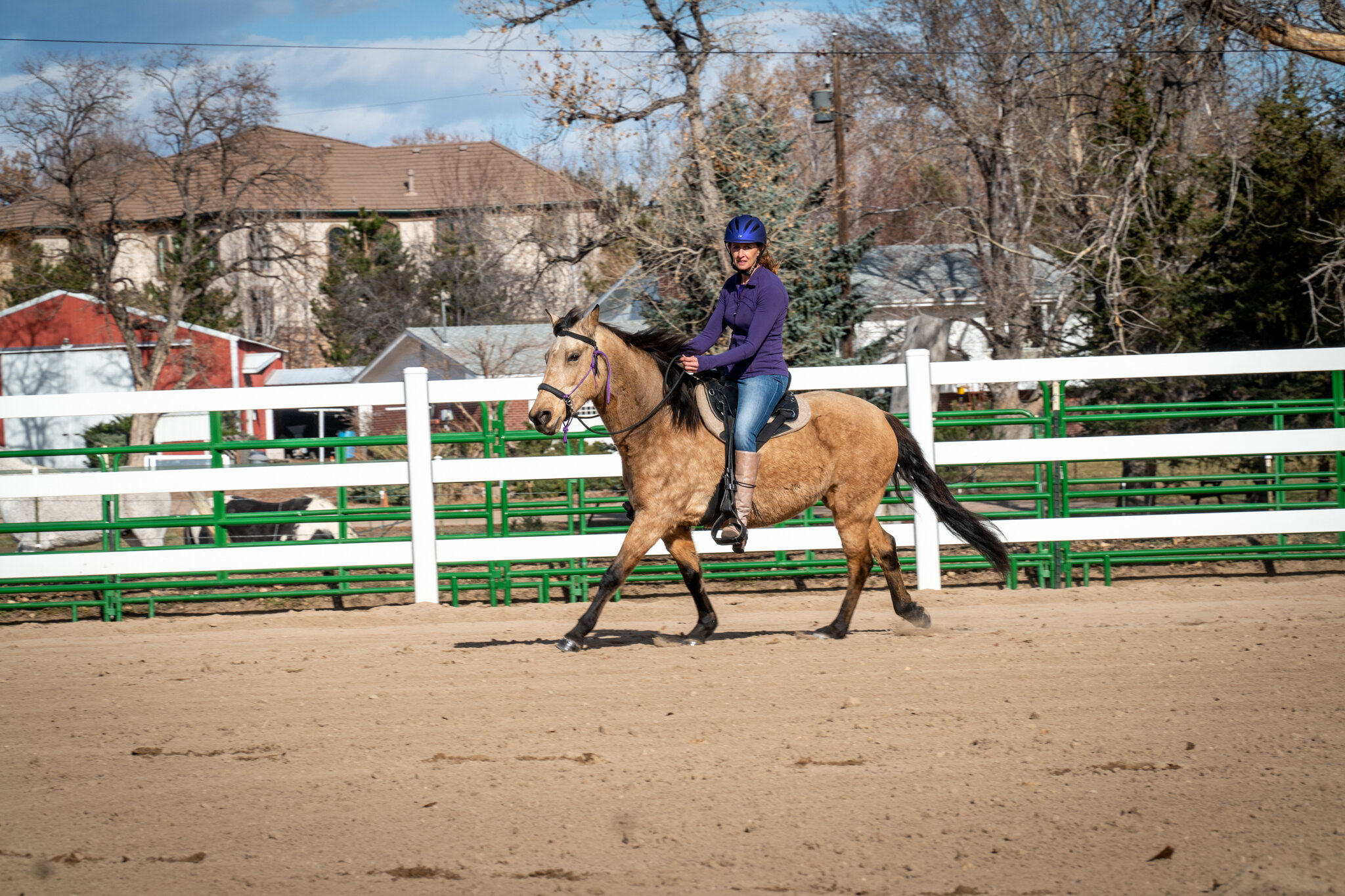 LADYBUG_UnderSaddle-29.jpg