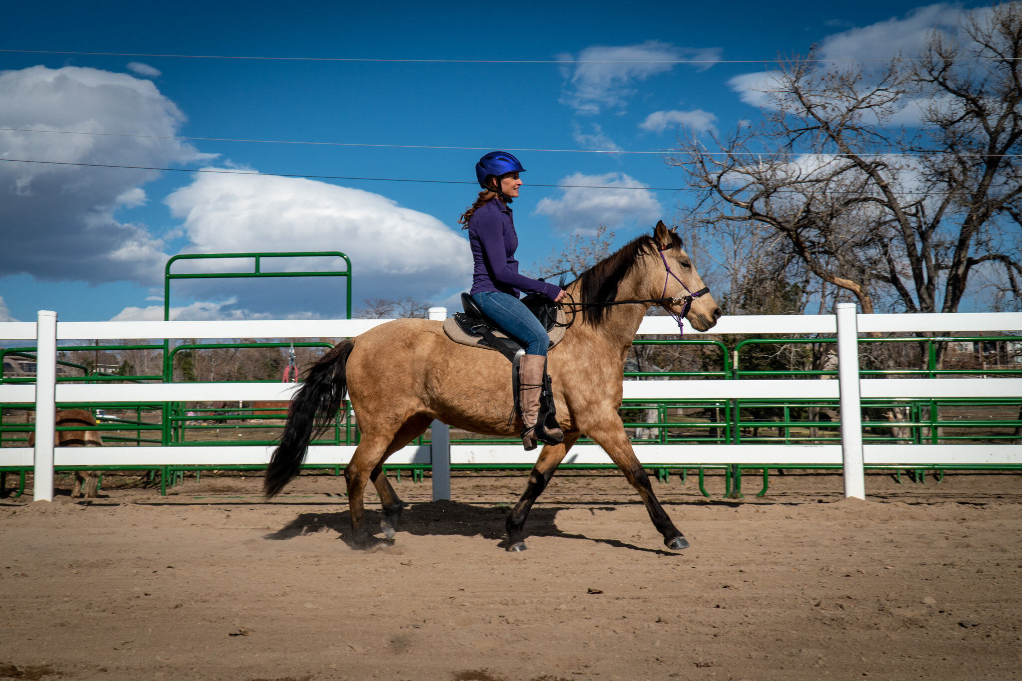 LADYBUG_UnderSaddle-30.jpg