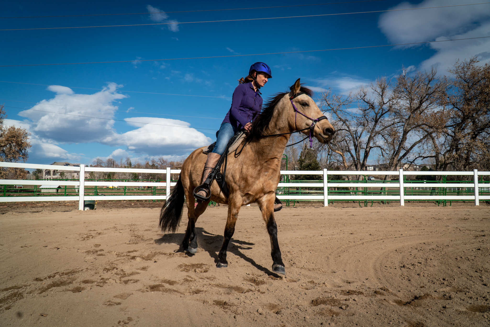 LADYBUG_UnderSaddle-32.jpg
