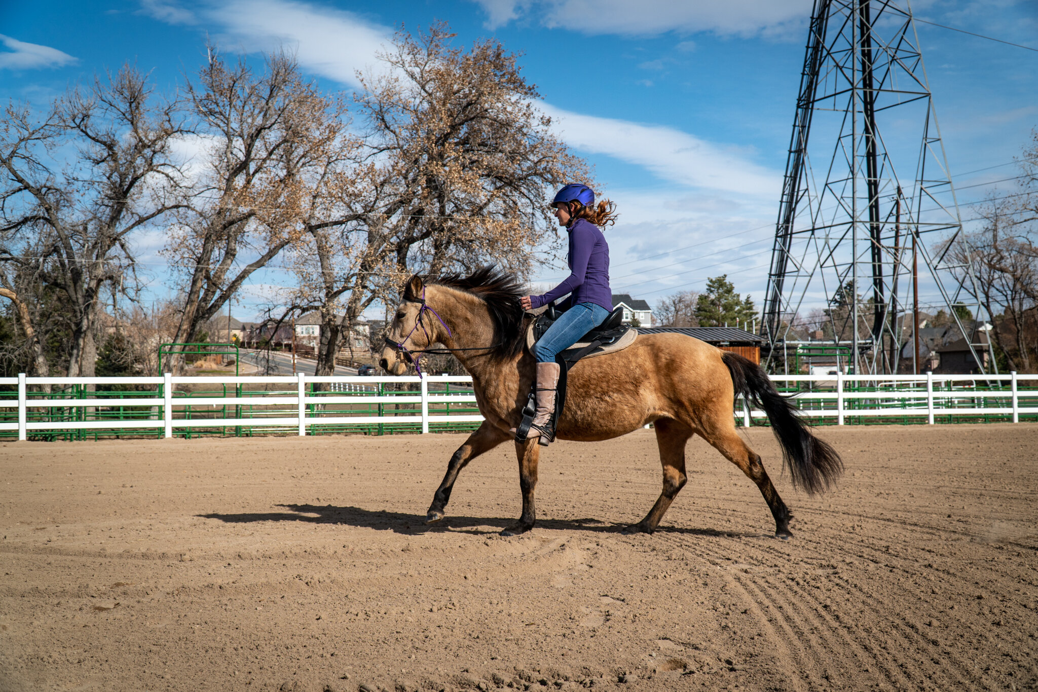 LADYBUG_UnderSaddle-42.jpg