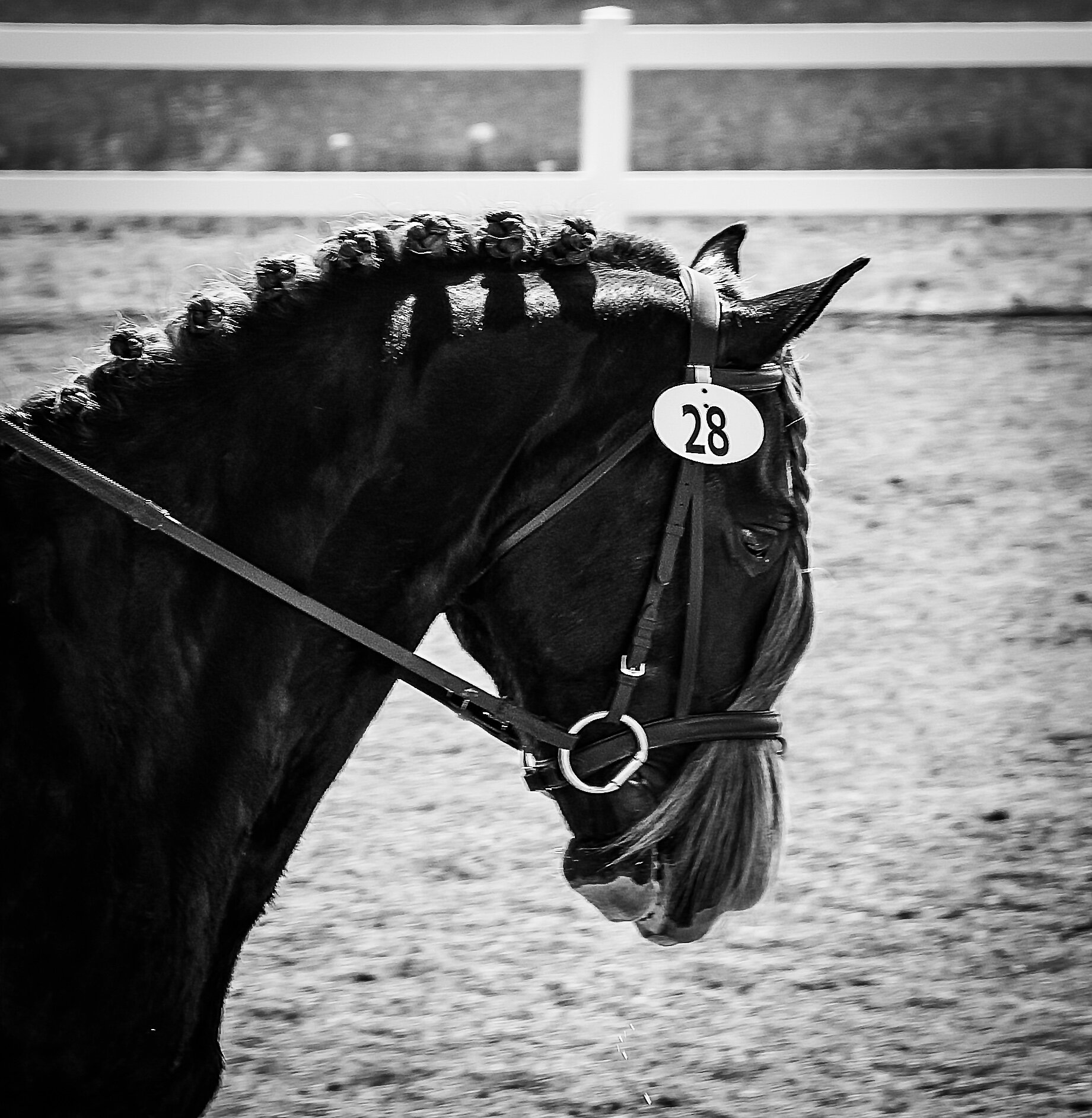 _DSC7300-Edit-Edit.jpg
