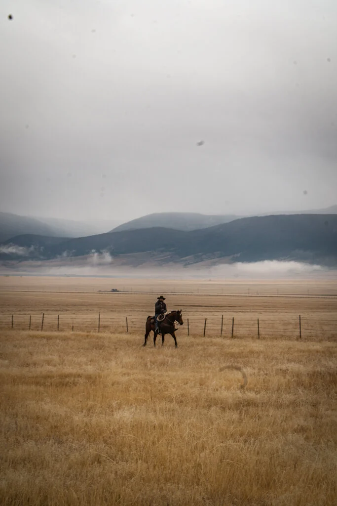 ElkhornRanchMT_Trailback-008.jpg