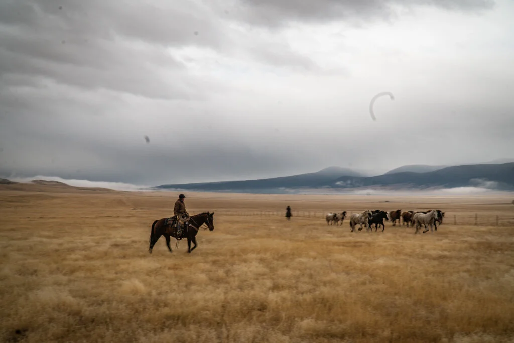 ElkhornRanchMT_Trailback-012.jpg
