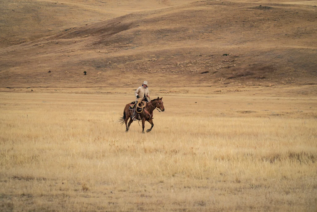 ElkhornRanchMT_Trailback-040.jpg