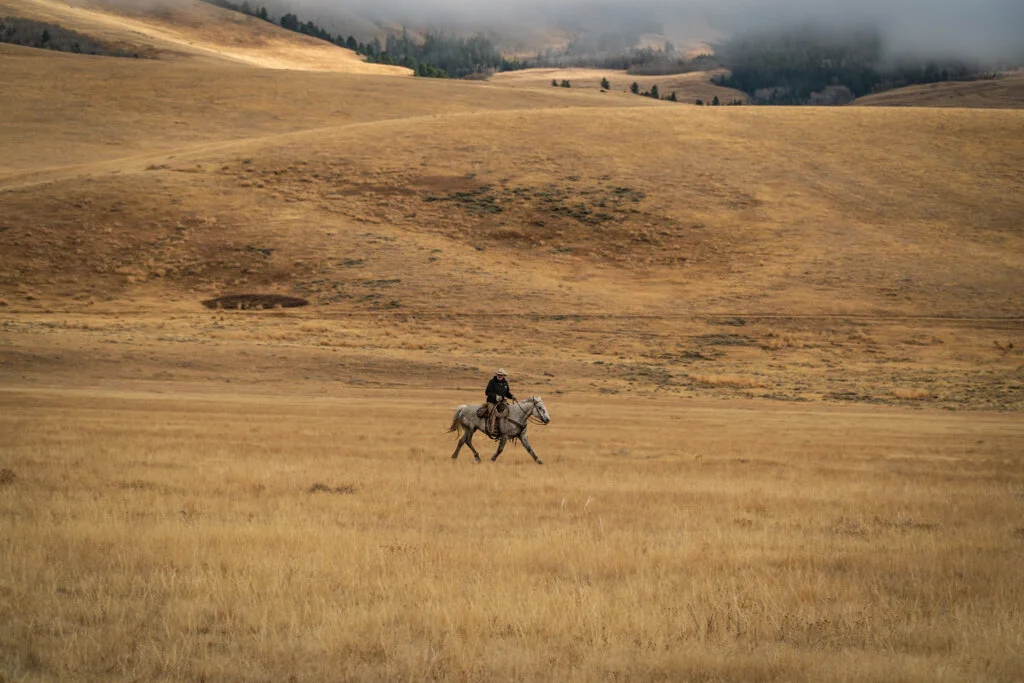 ElkhornRanchMT_Trailback-041.jpg