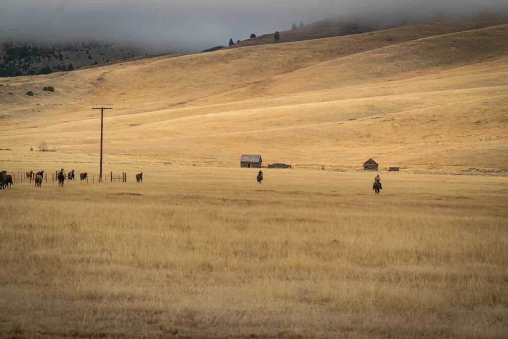 ElkhornRanchMT_Trailback-044.jpg