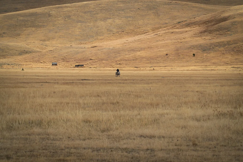 ElkhornRanchMT_Trailback-046.jpg