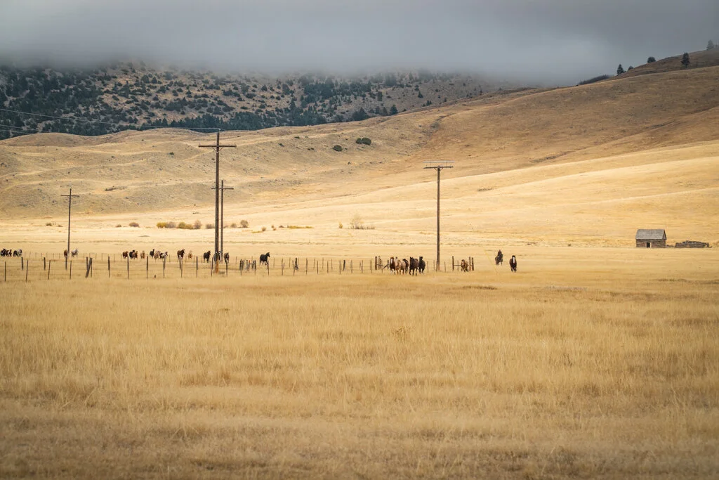 ElkhornRanchMT_Trailback-047.jpg