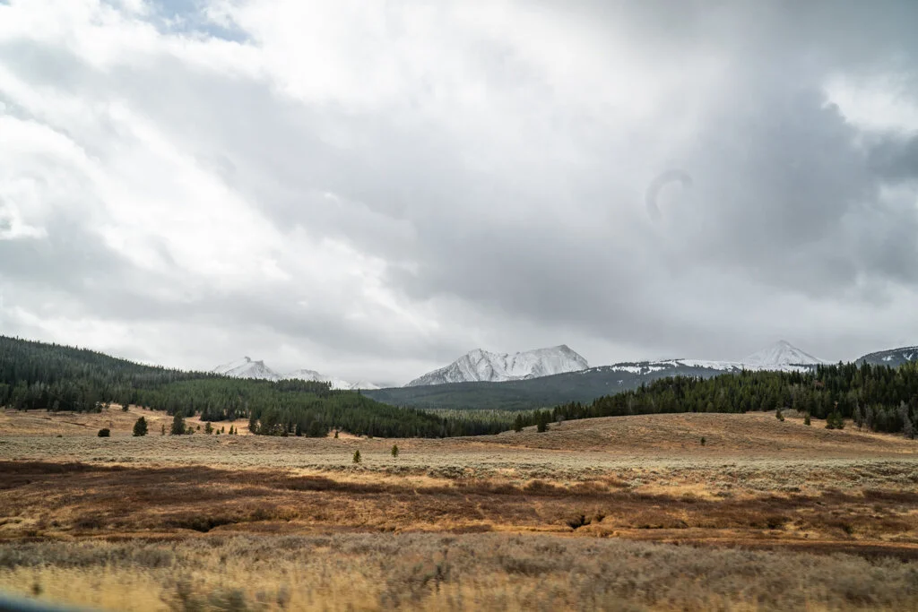ElkhornRanchMT_Trailback-050.jpg