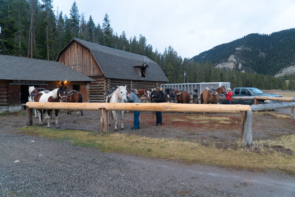 ElkhornRanchMT_Trailback-127.jpg