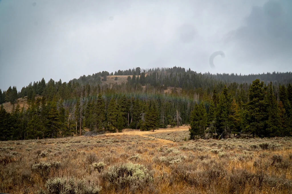 ElkhornRanchMT_Trailback-054.jpg