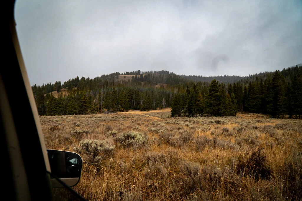 ElkhornRanchMT_Trailback-055.jpg