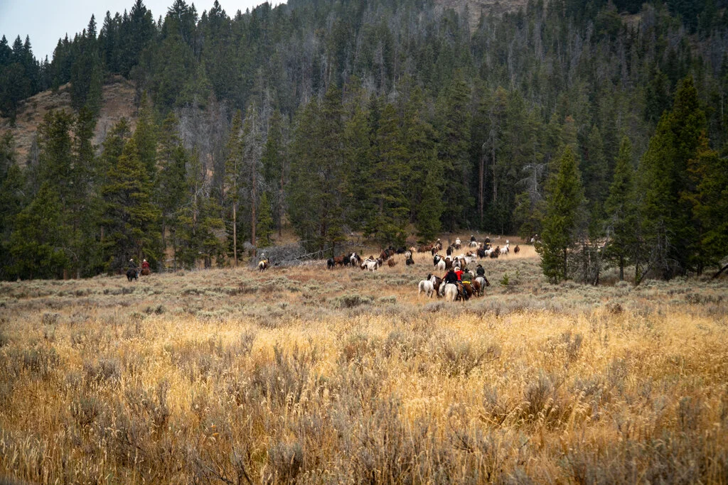 ElkhornRanchMT_Trailback-059.jpg