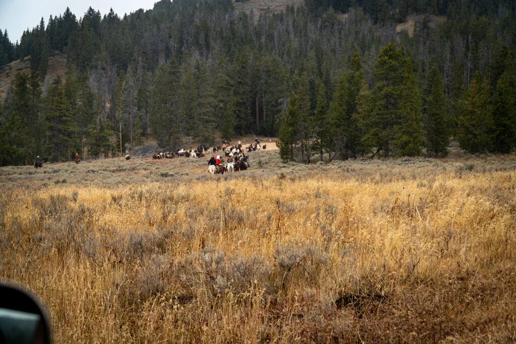 ElkhornRanchMT_Trailback-060.jpg