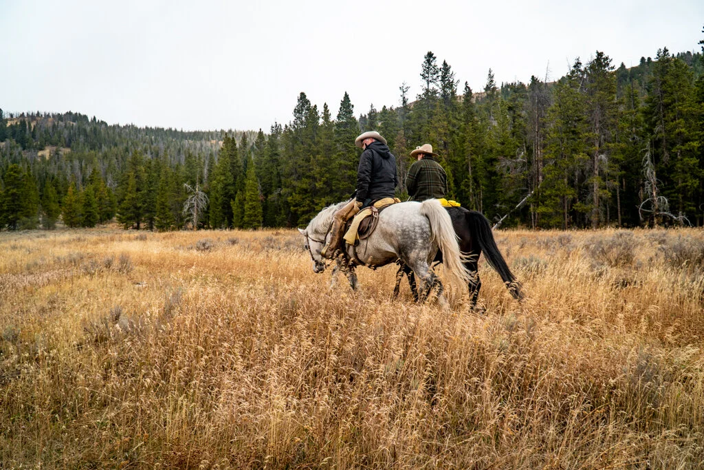 ElkhornRanchMT_Trailback-071.jpg