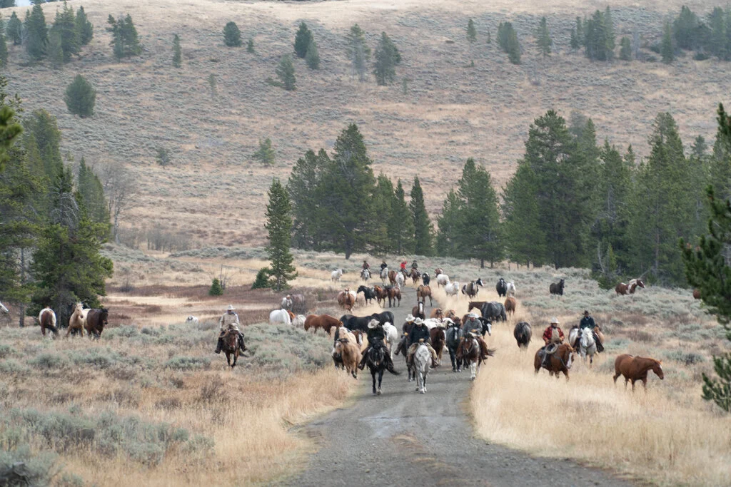 ElkhornRanchMT_Trailback-072.jpg