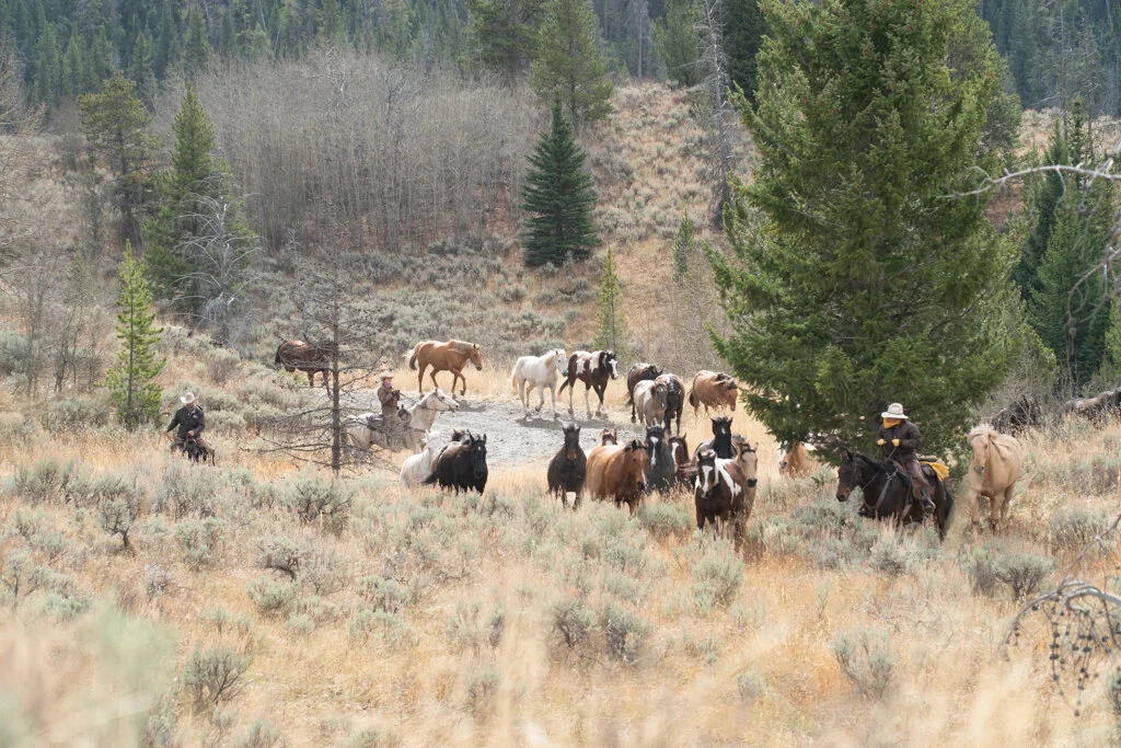 ElkhornRanchMT_Trailback-073.jpg