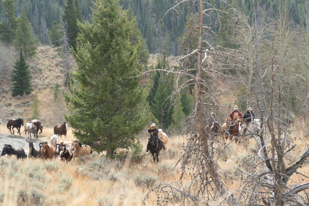 ElkhornRanchMT_Trailback-074.jpg