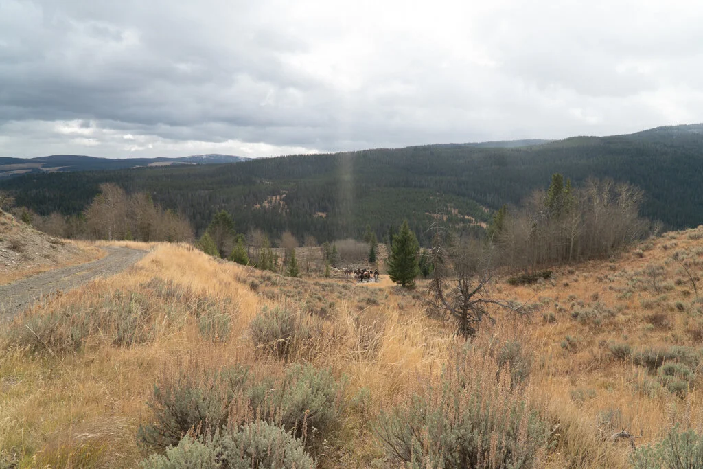 ElkhornRanchMT_Trailback-076.jpg