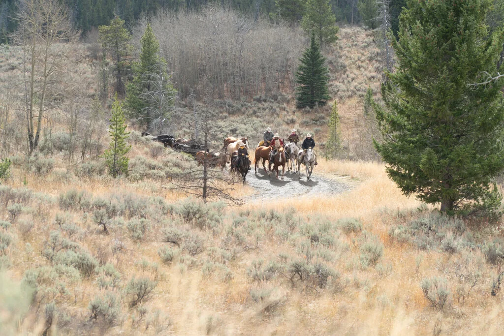 ElkhornRanchMT_Trailback-077.jpg