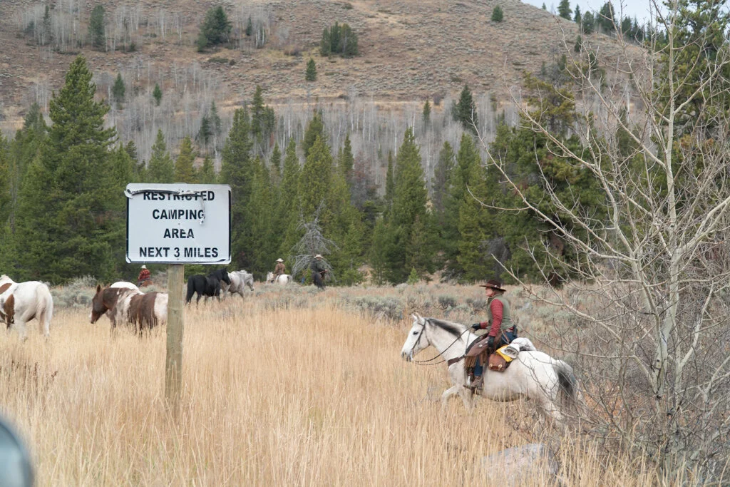 ElkhornRanchMT_Trailback-082.jpg