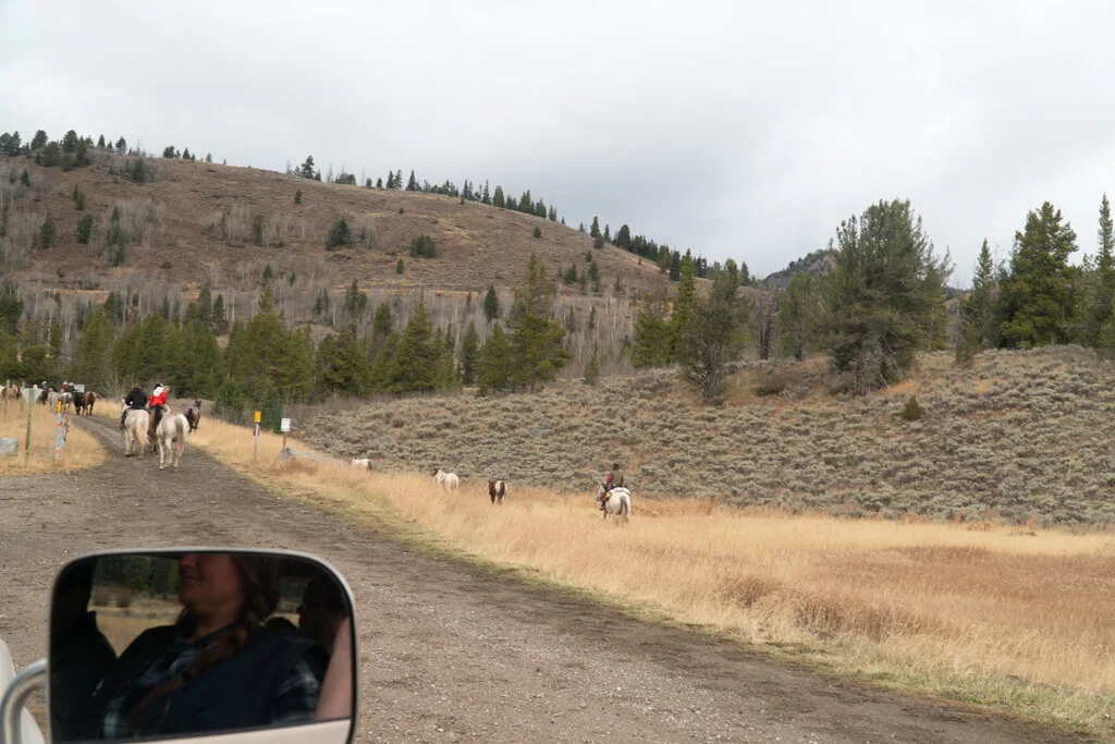 ElkhornRanchMT_Trailback-083.jpg