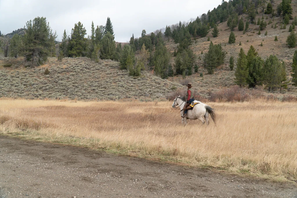 ElkhornRanchMT_Trailback-084.jpg