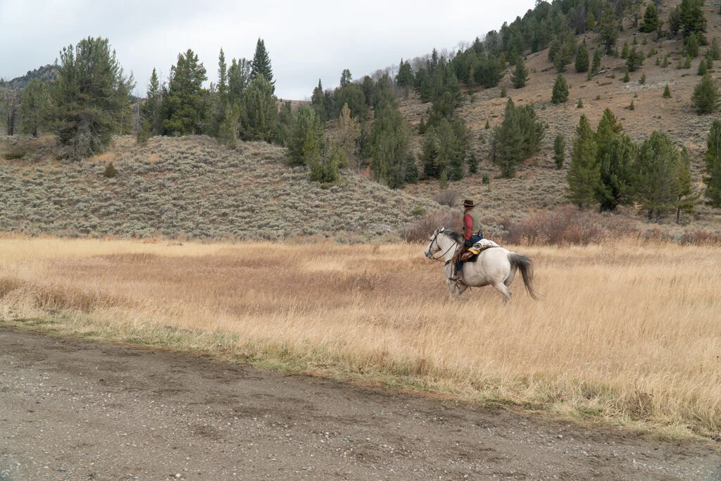 ElkhornRanchMT_Trailback-085.jpg