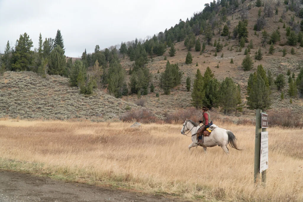 ElkhornRanchMT_Trailback-086.jpg
