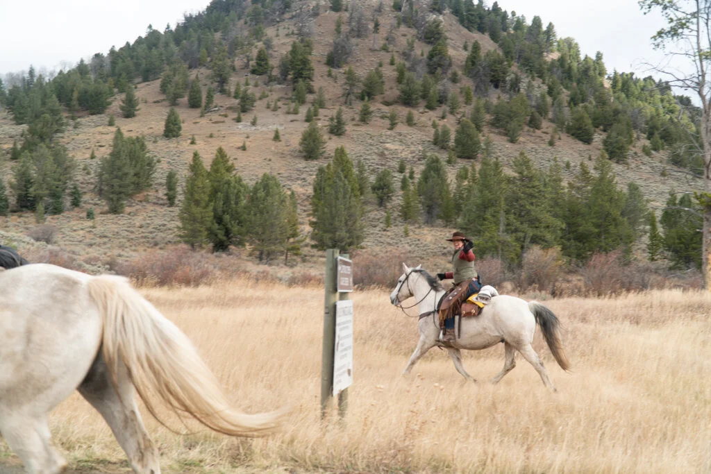 ElkhornRanchMT_Trailback-087.jpg