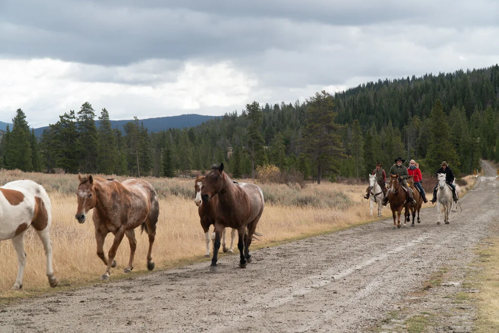 ElkhornRanchMT_Trailback-090.jpg