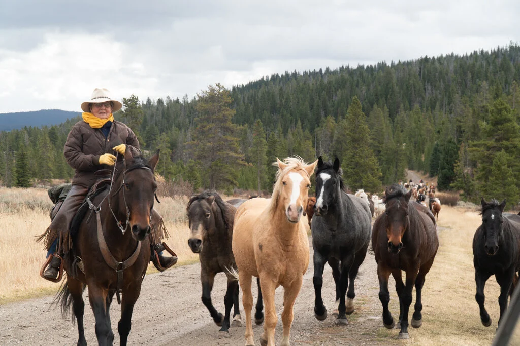 ElkhornRanchMT_Trailback-094.jpg