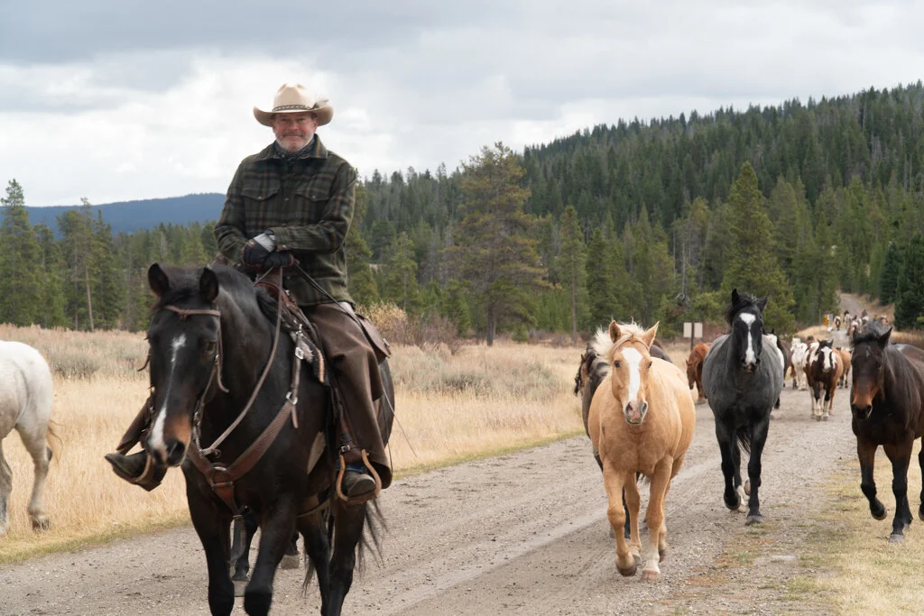 ElkhornRanchMT_Trailback-095.jpg