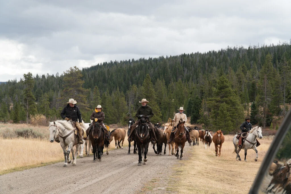 ElkhornRanchMT_Trailback-096.jpg