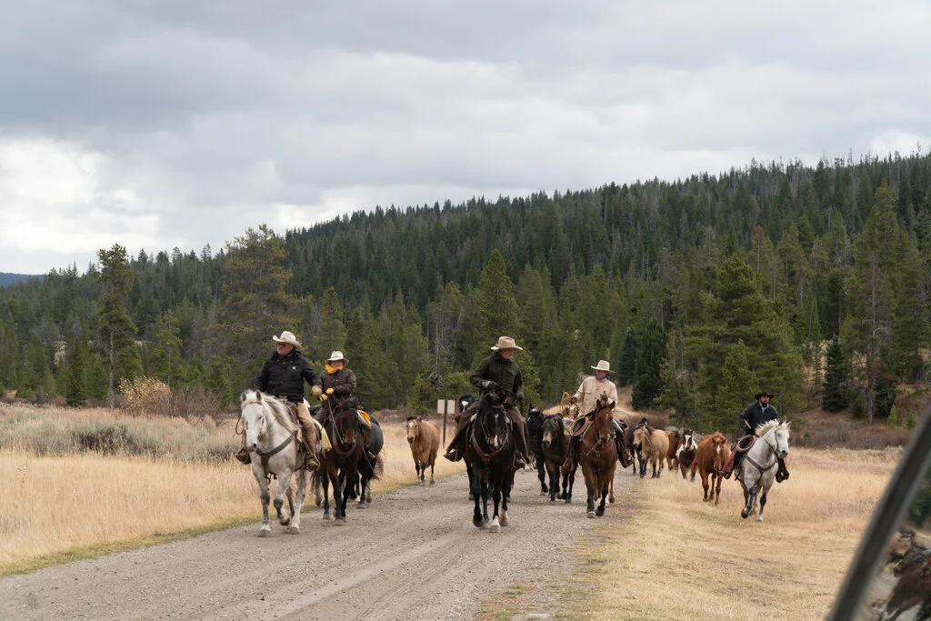 ElkhornRanchMT_Trailback-097.jpg