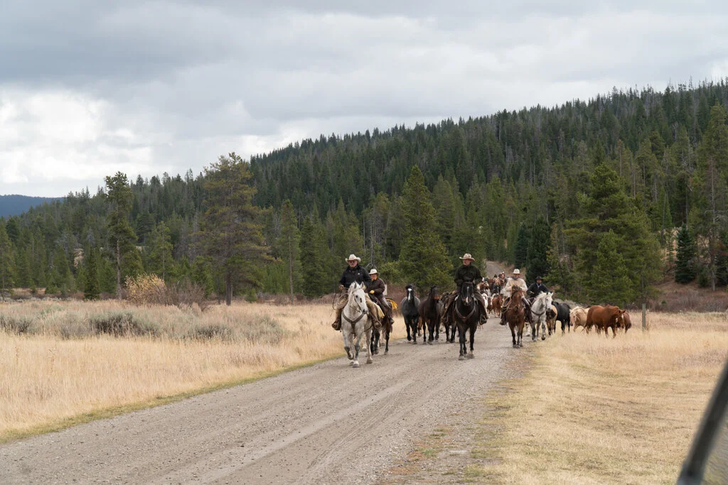 ElkhornRanchMT_Trailback-098.jpg