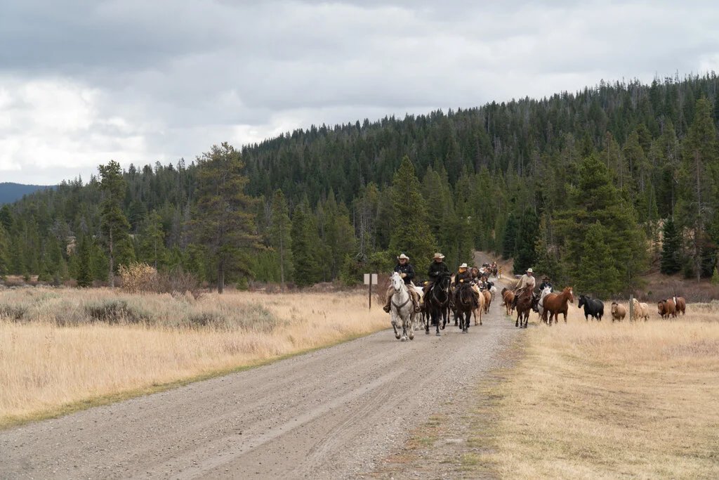 ElkhornRanchMT_Trailback-099.jpg