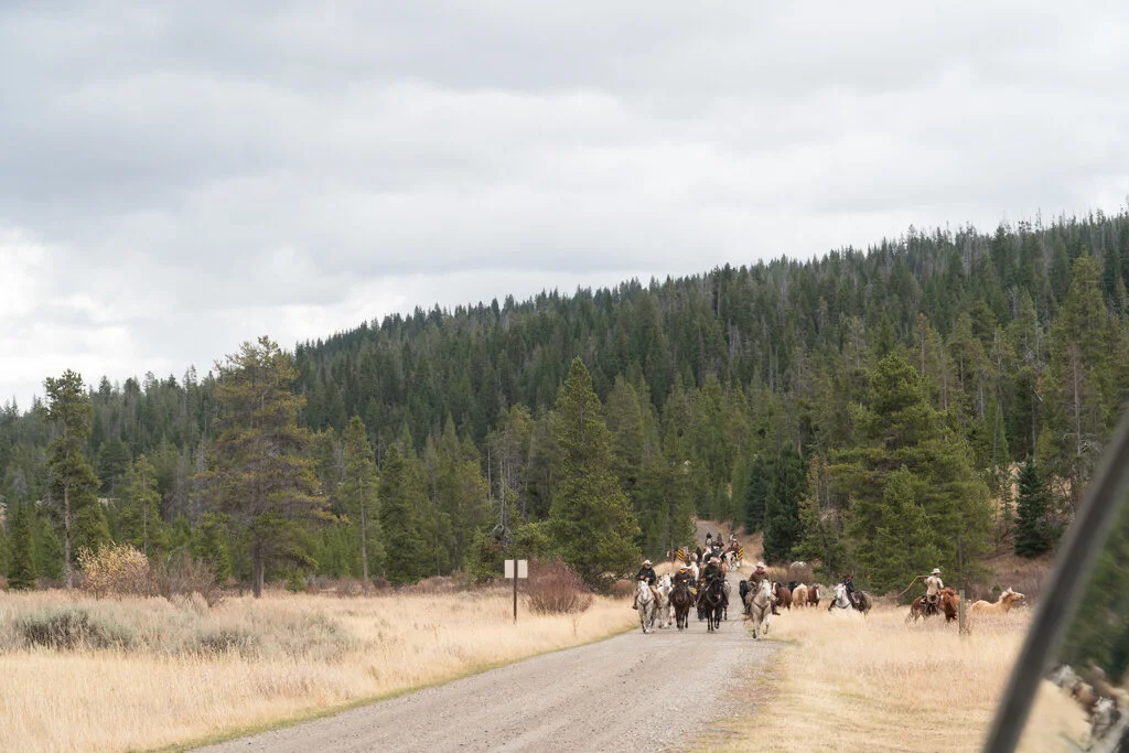 ElkhornRanchMT_Trailback-100.jpg