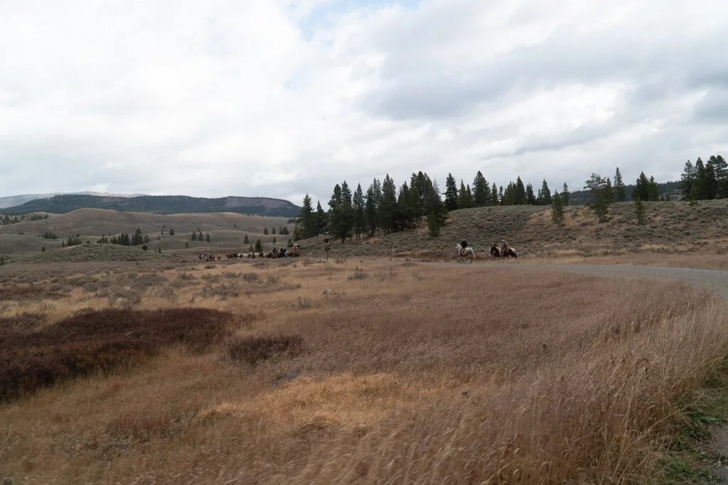 ElkhornRanchMT_Trailback-103.jpg