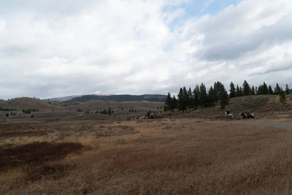 ElkhornRanchMT_Trailback-104.jpg