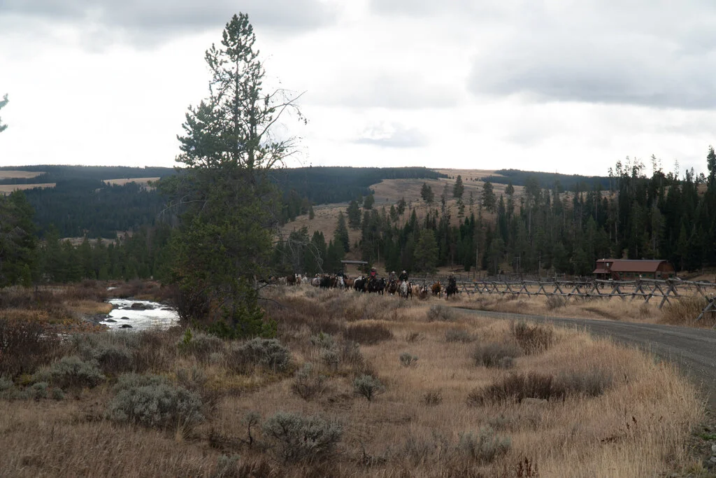 ElkhornRanchMT_Trailback-108.jpg