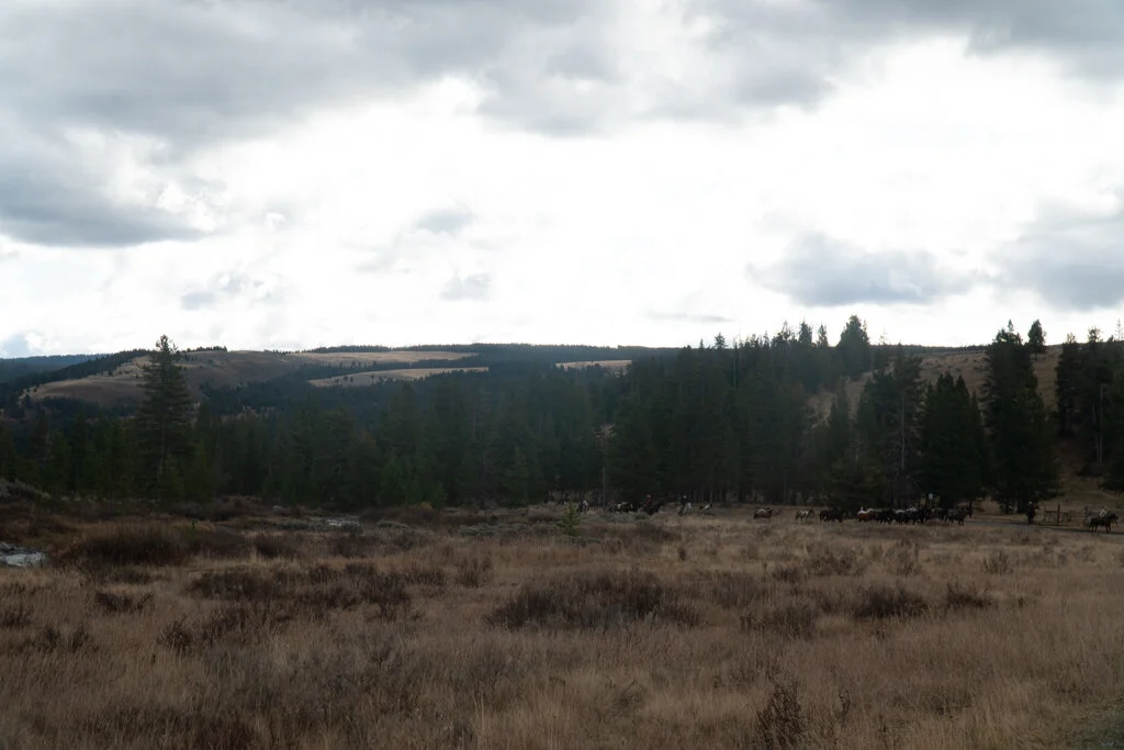 ElkhornRanchMT_Trailback-109.jpg