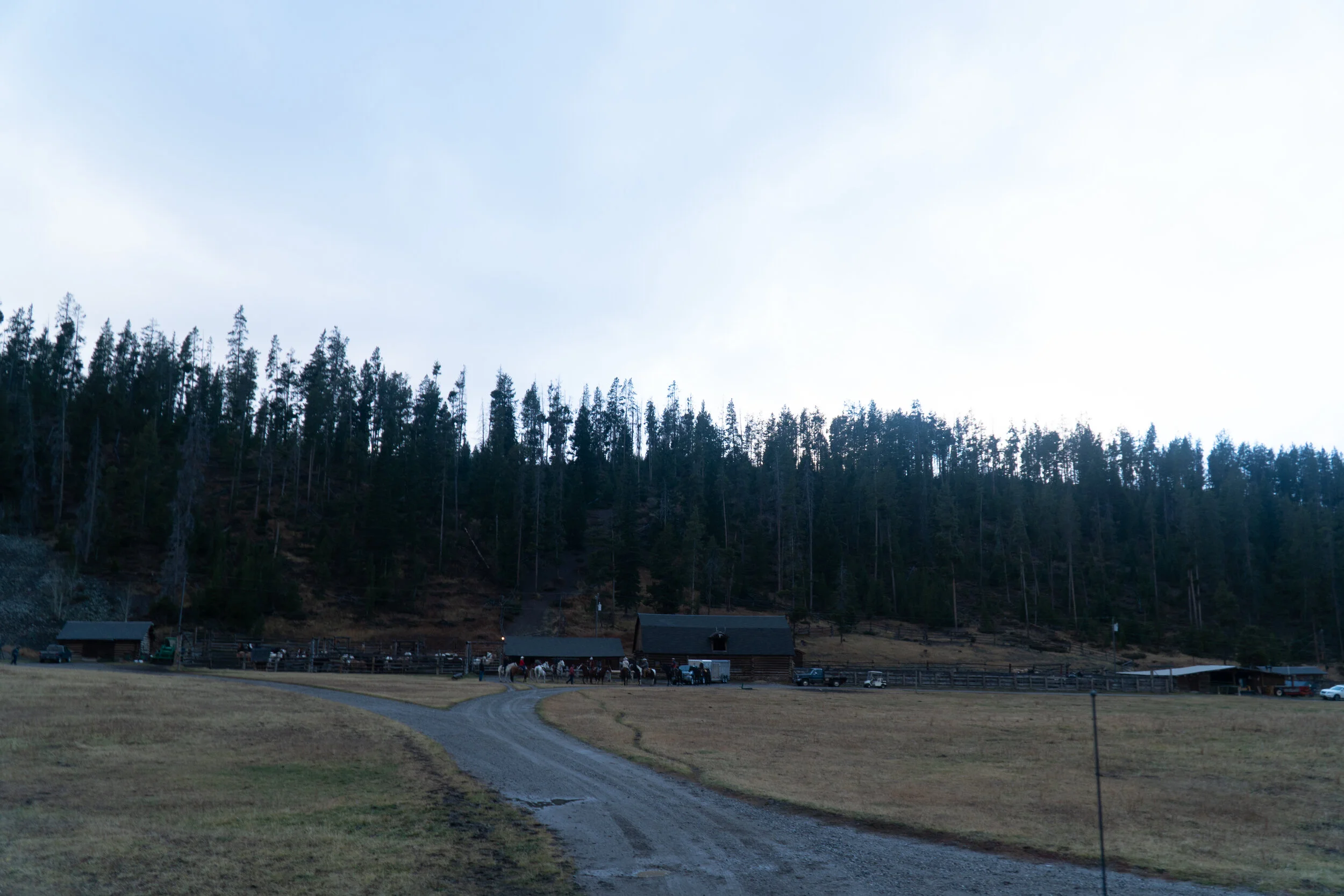 _DSC1794.jpg