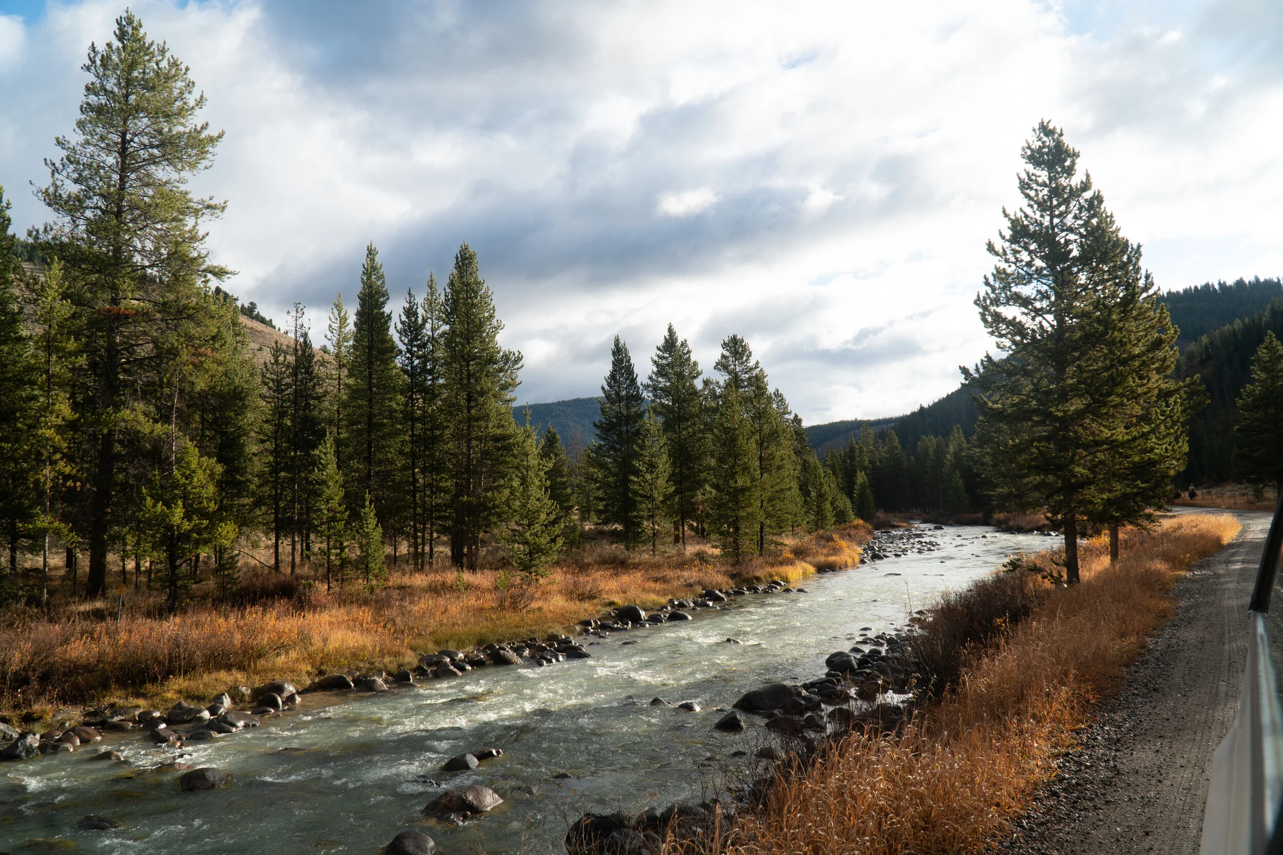 _DSC1855.jpg
