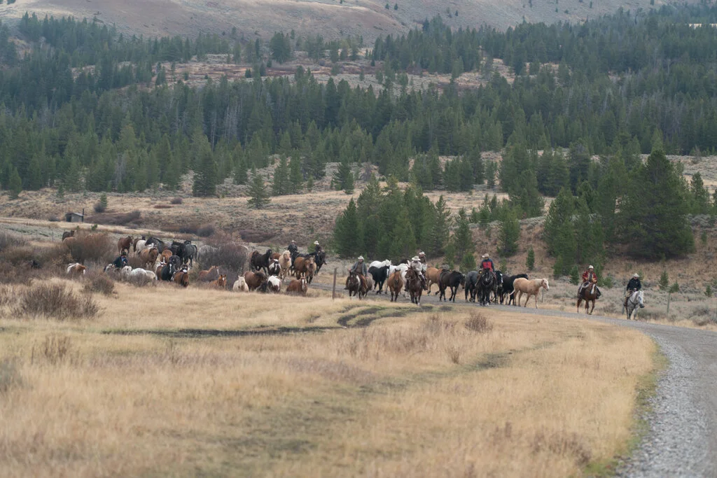 ElkhornRanchMT_Trailback-112.jpg