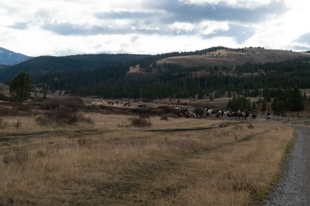 ElkhornRanchMT_Trailback-113.jpg