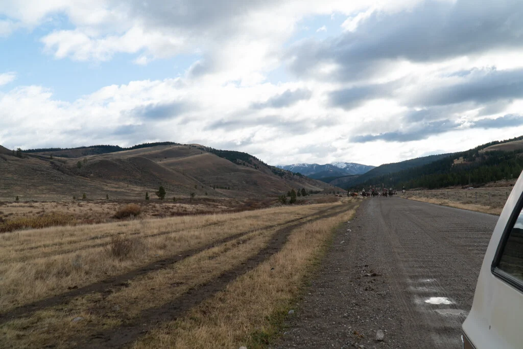 ElkhornRanchMT_Trailback-114.jpg
