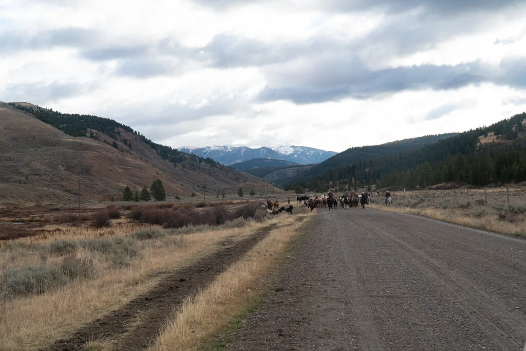 ElkhornRanchMT_Trailback-115.jpg